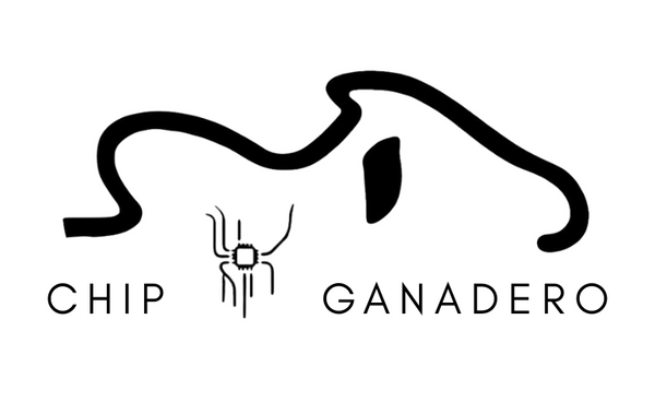 Mi tienda